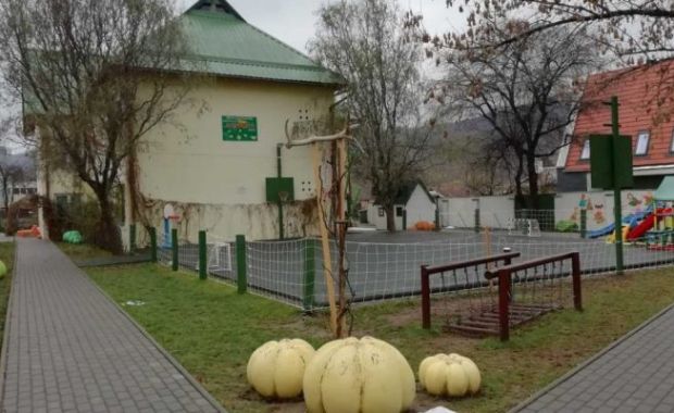 Zsibongo E1544538038507 750x400