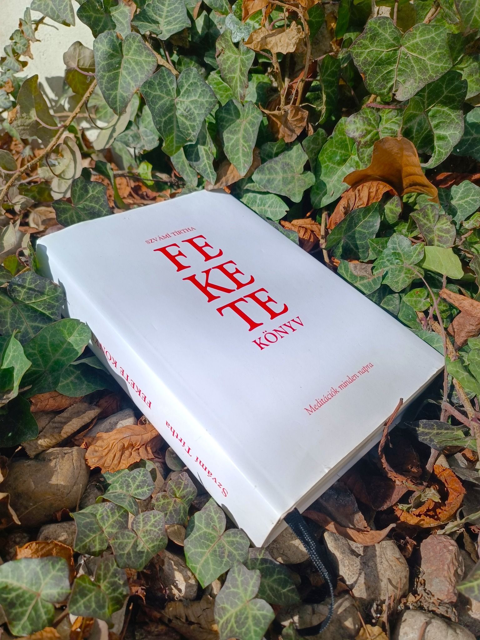 Fekete