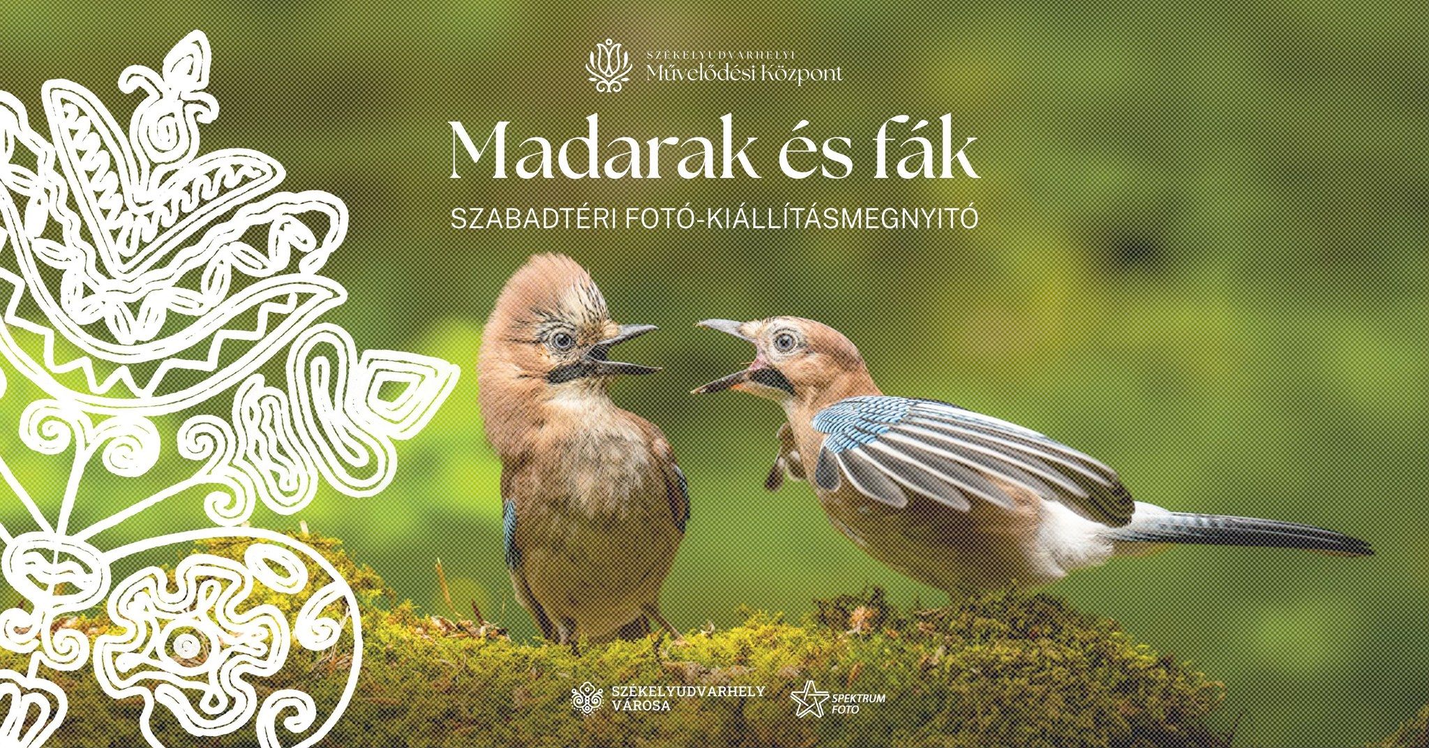 Madarak